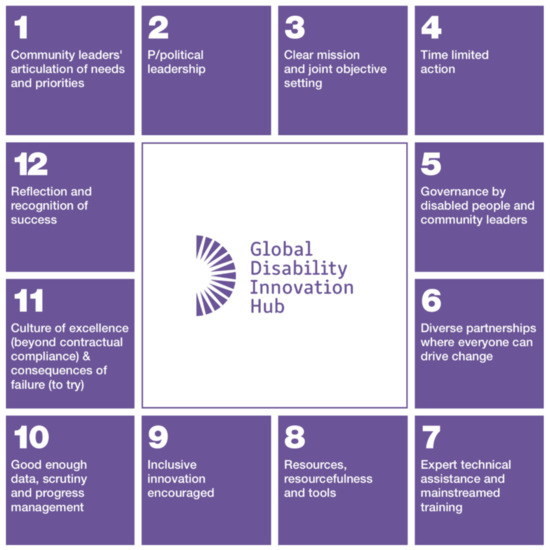 A graphic of the proposed 12 step Disability Inclusion Model 