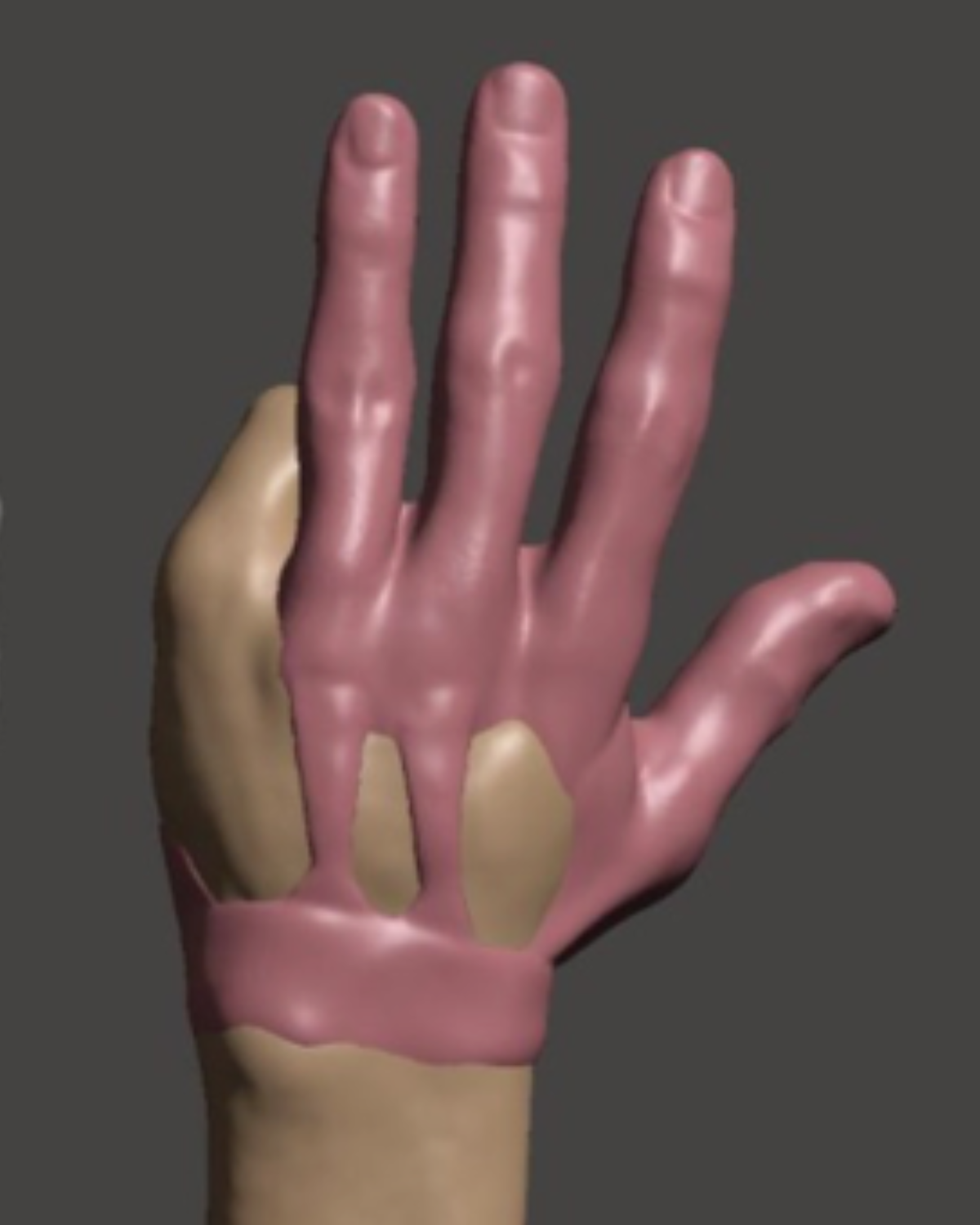 3D model of partial prosthetic hand Cover Image