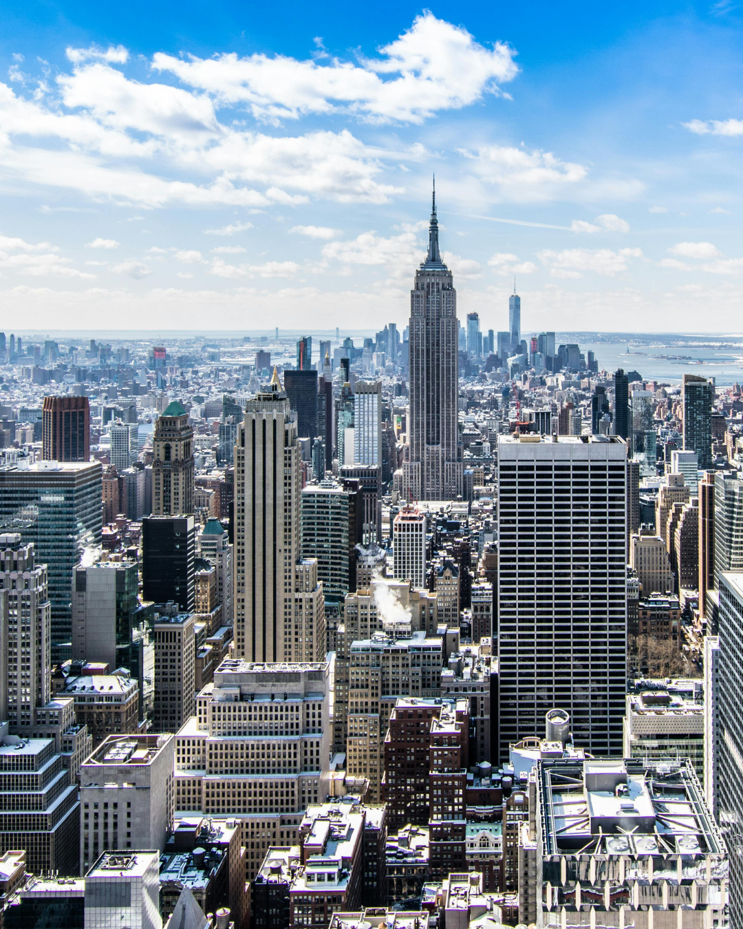 New York skyline in daytime Cover Image