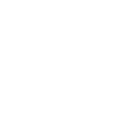 X (twitter) logo